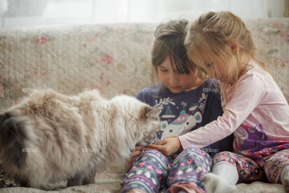 Little sisters in pijamas with white cat