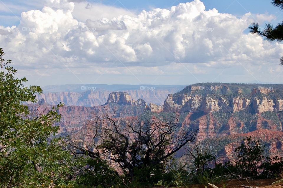 Grand Canyon View