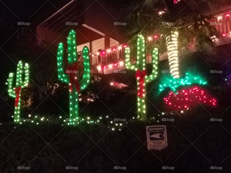 cactus Christmas
