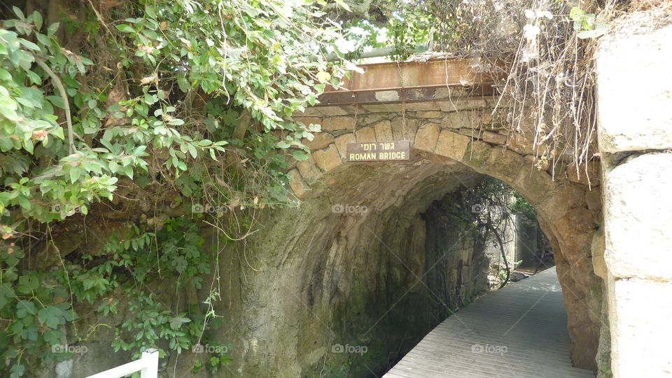 A Reconstructed Bridge