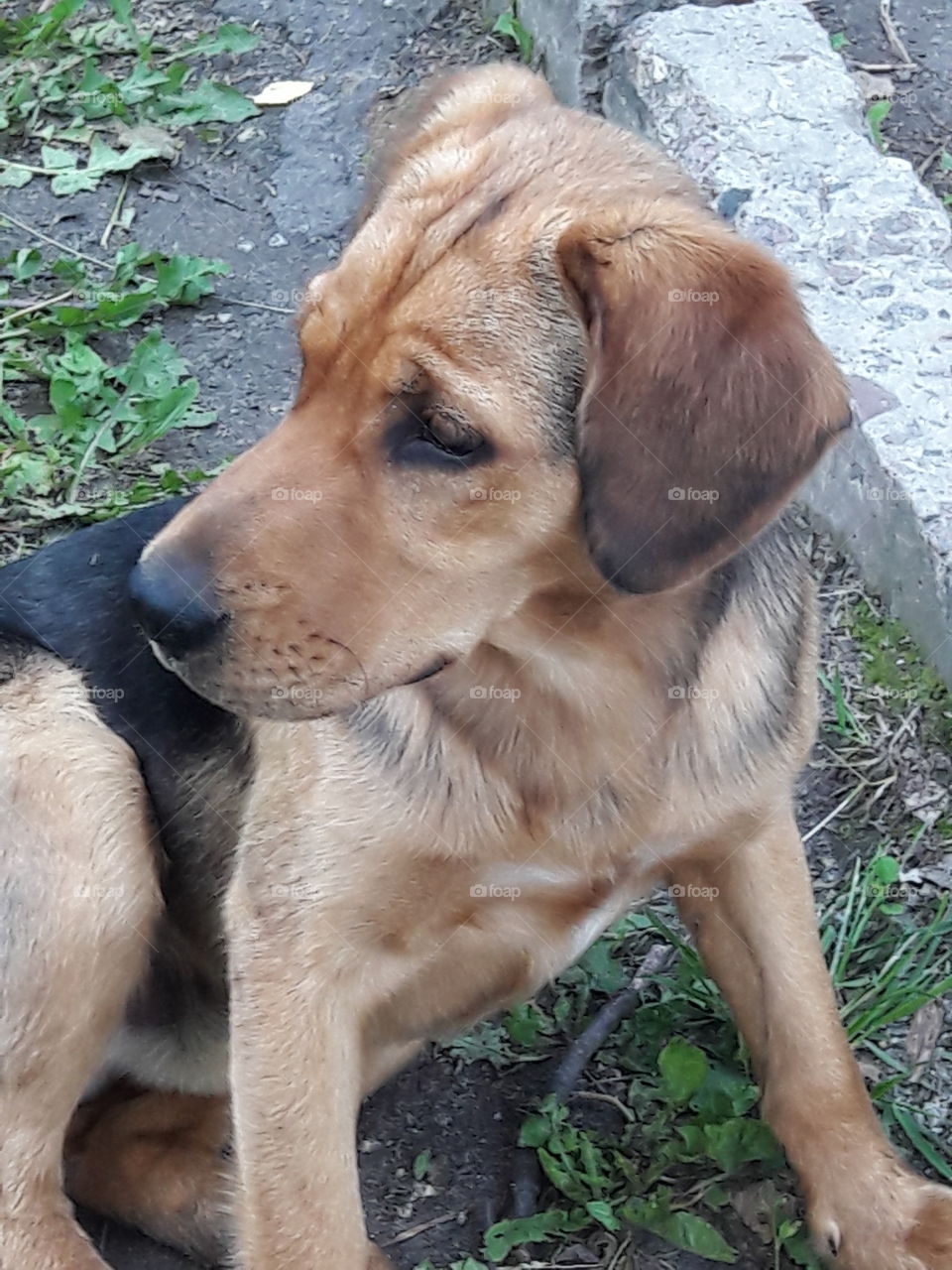 perfect imperfection