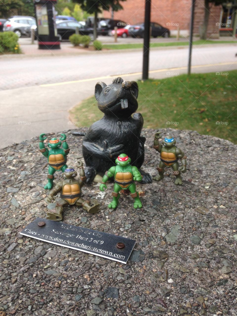 Turtles with mouse