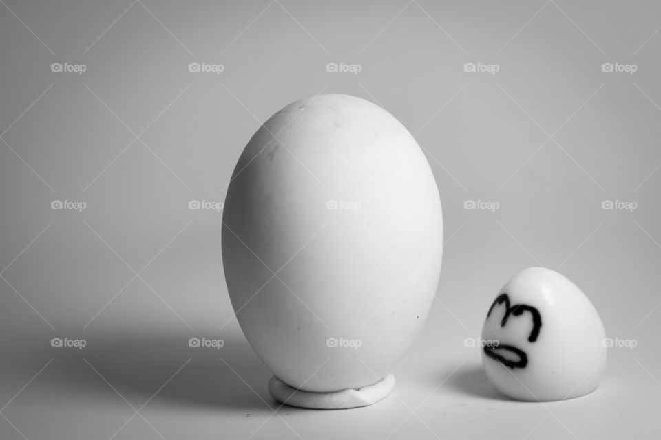 Shadow of egg