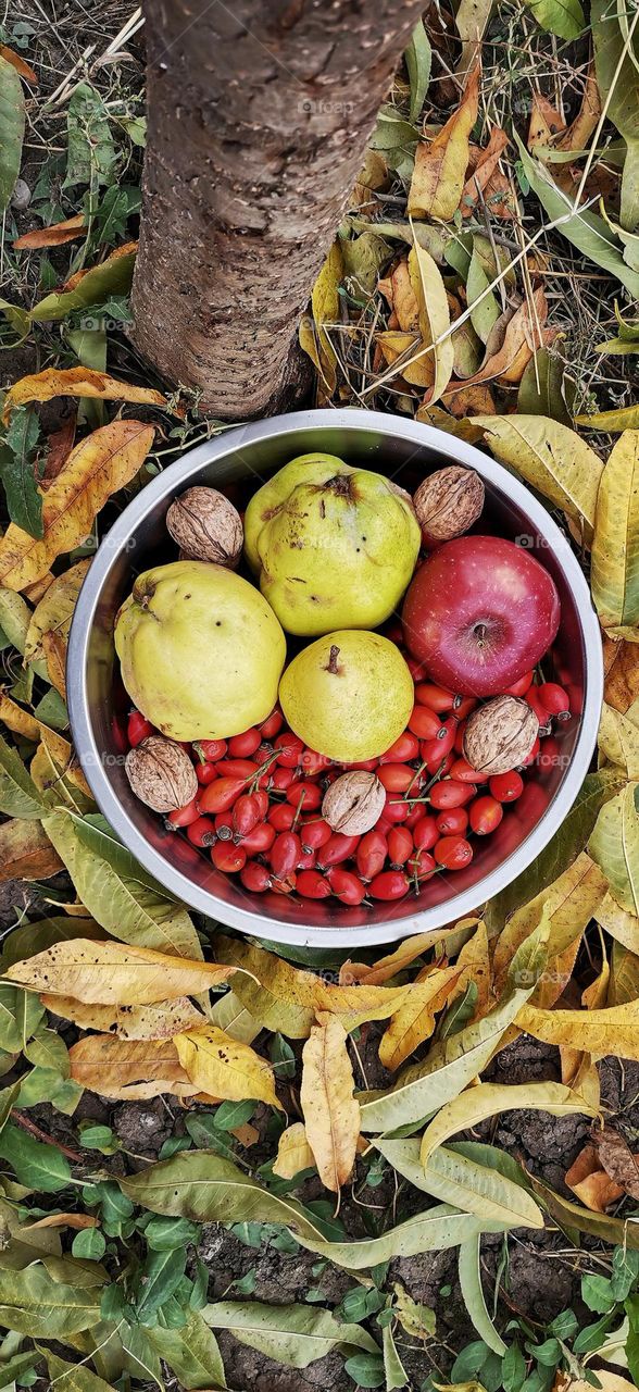 Fall goodness. 🍂