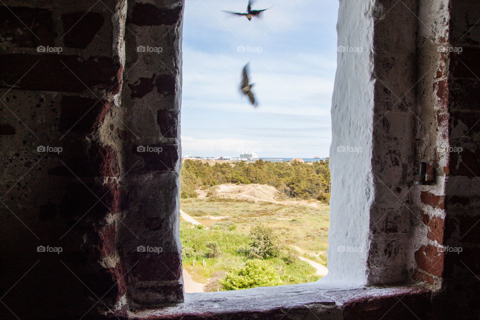 Window in the old church