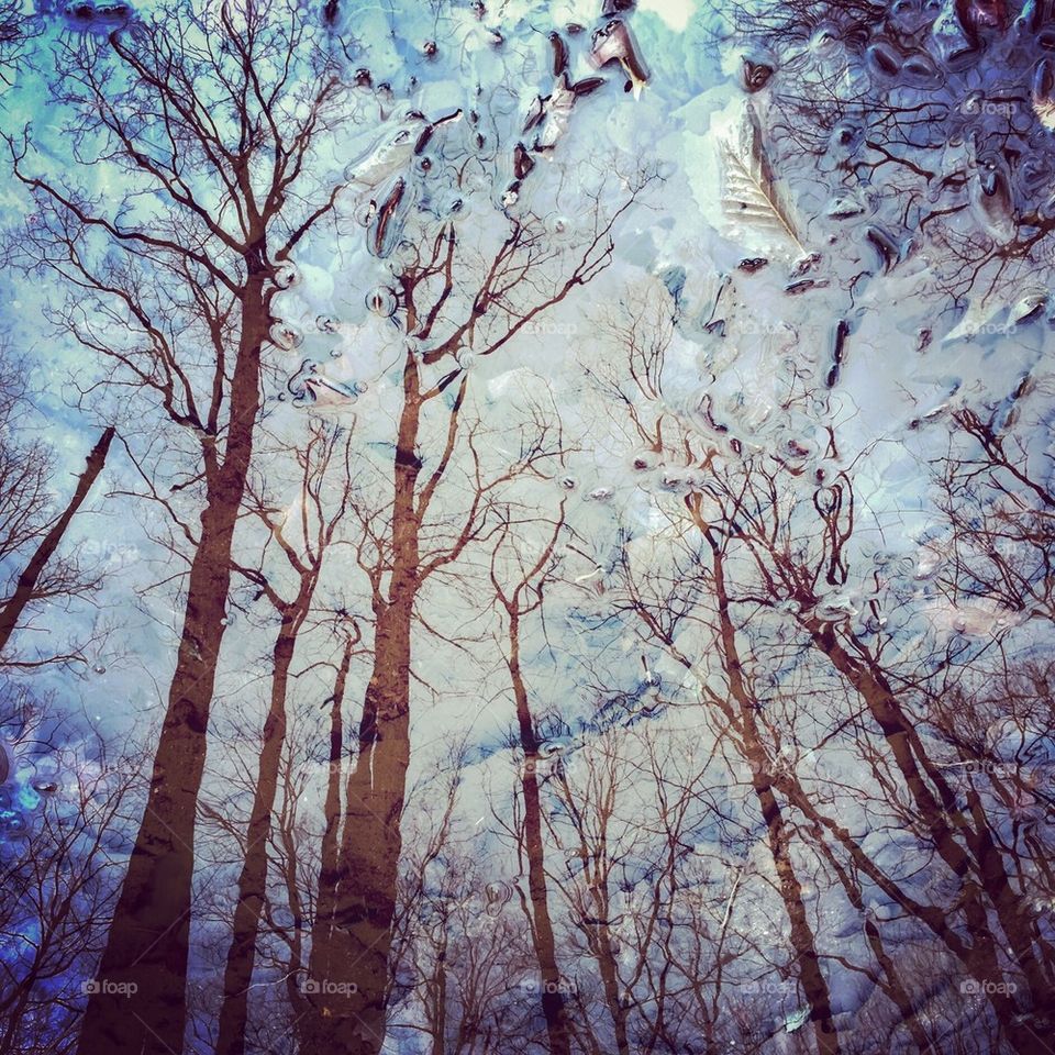 A Spring of Reflection