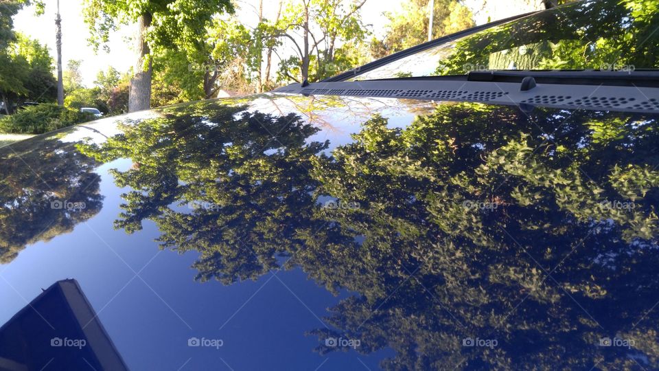Reflection on a waxed, polished car hood.