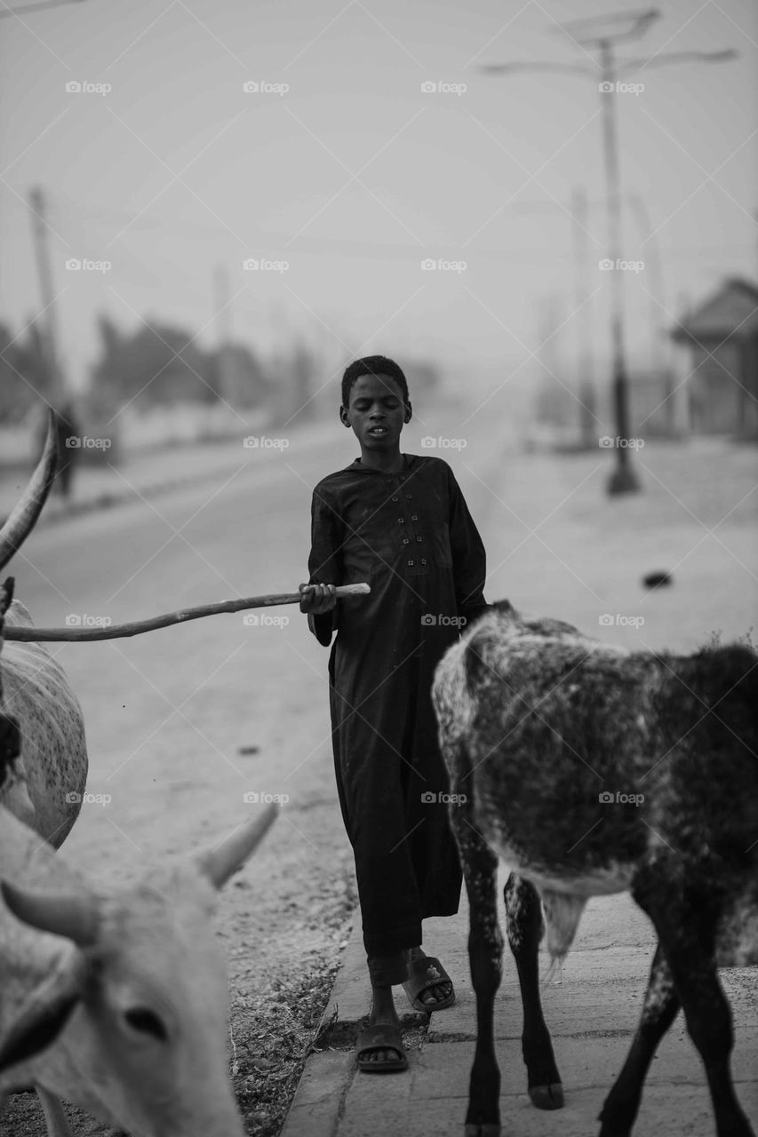 The Fulani 