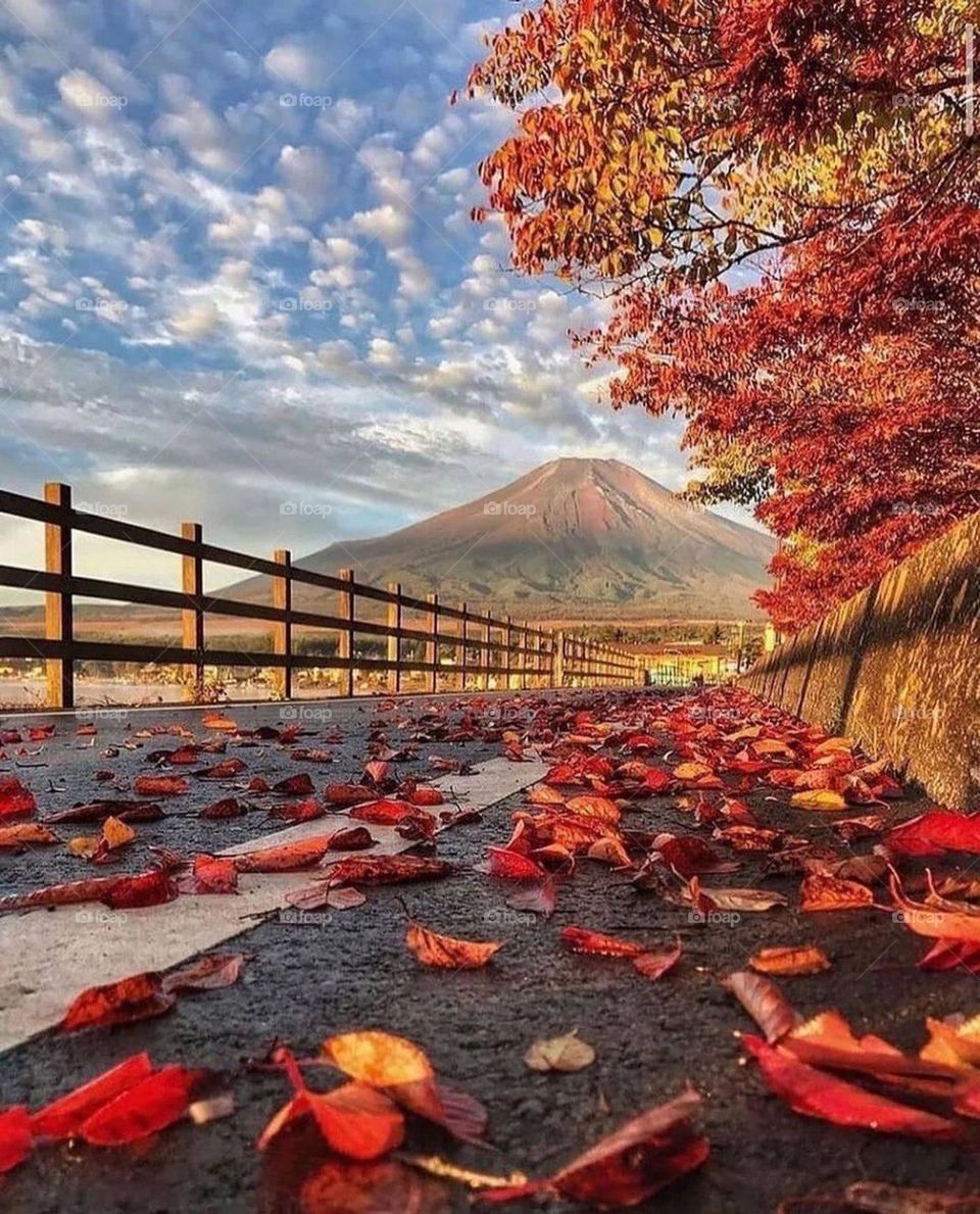 amazing nature is really beautiful unexplained,  ut explains it self than any other things self , is true godson