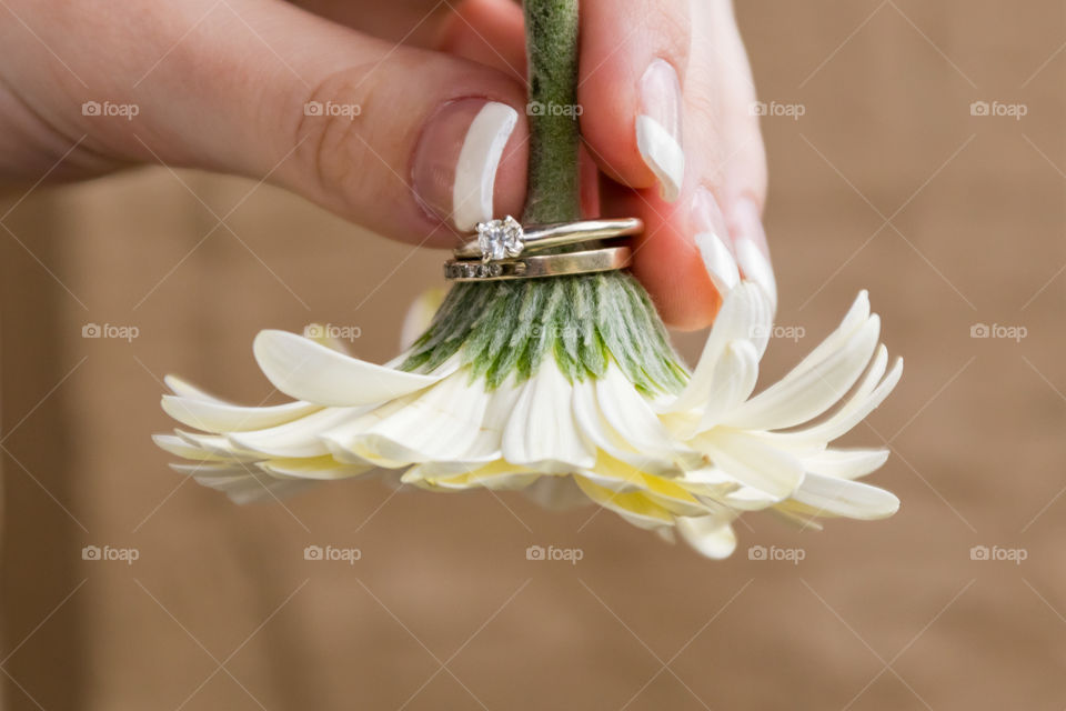 Flower and Rings 