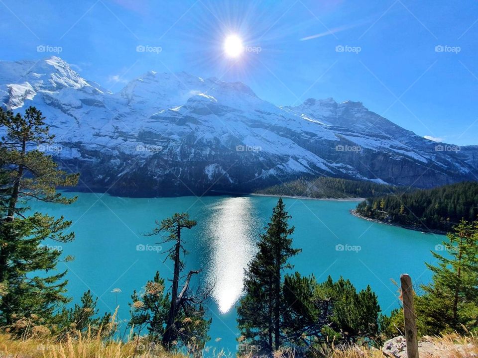 A natureza é perfeita !