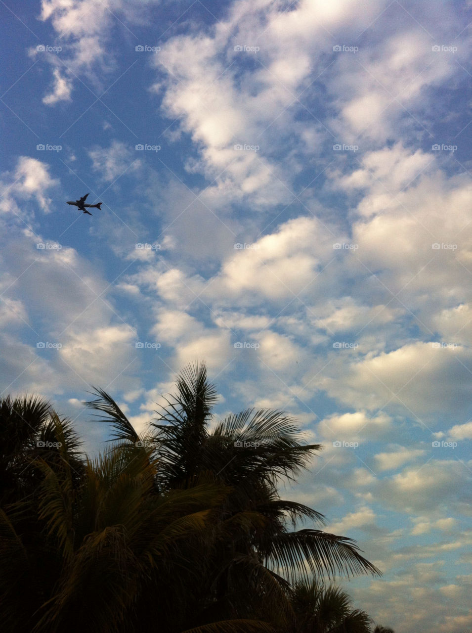  by rodolfo.benitez.988