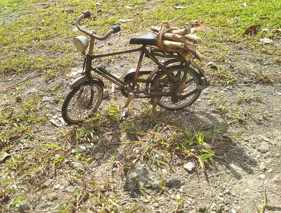 Looking for firewood