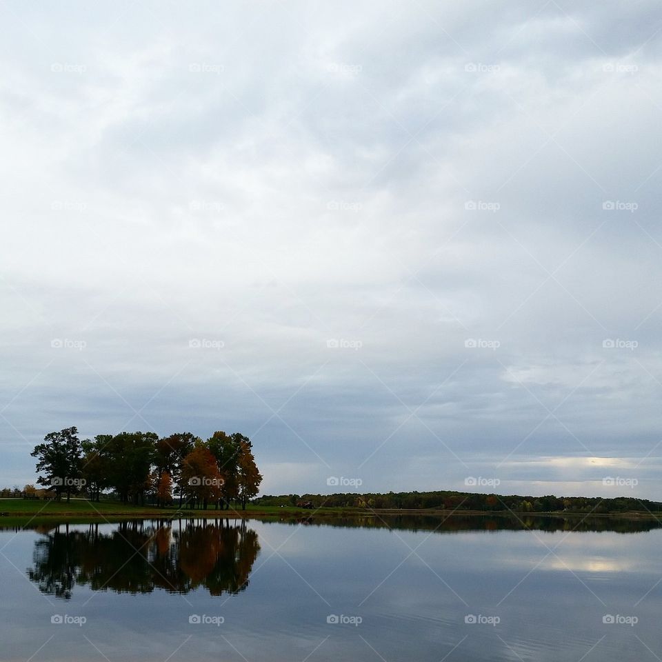 Cranberry Marsh in Autumn