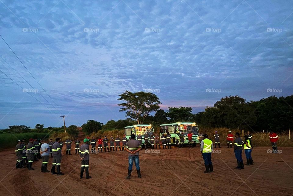 At daybreak rural workers getting ready to start activities in the culture of sugarcane cultivation, in the interior of the State of São Paulo, Brazil.