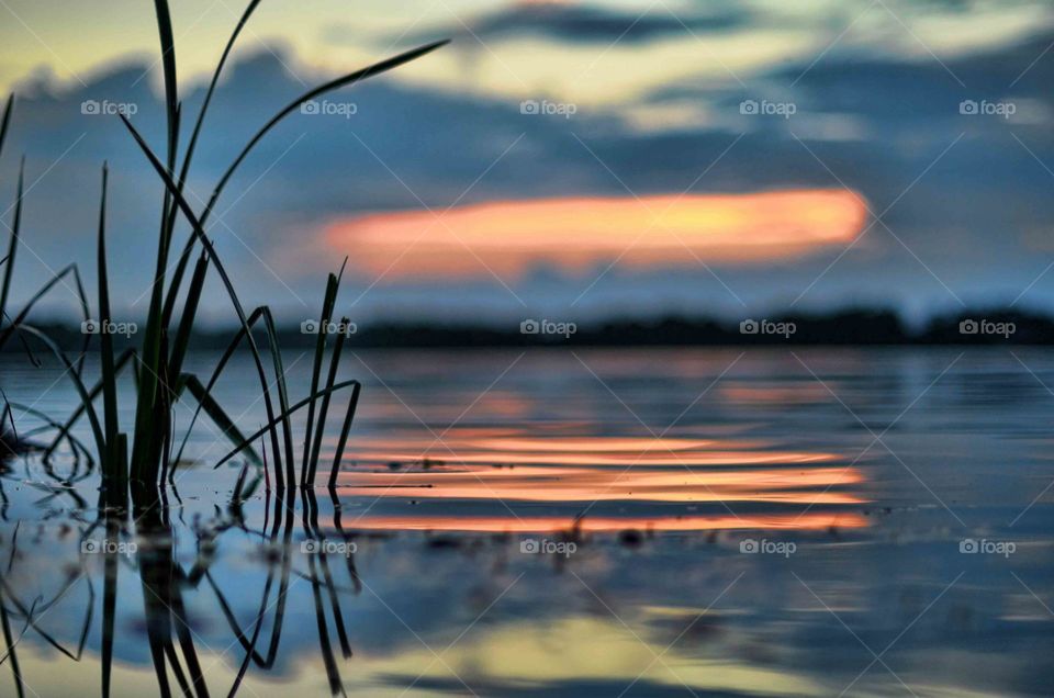 Colourful sunset reflecting off a still lake with grass peaking out
