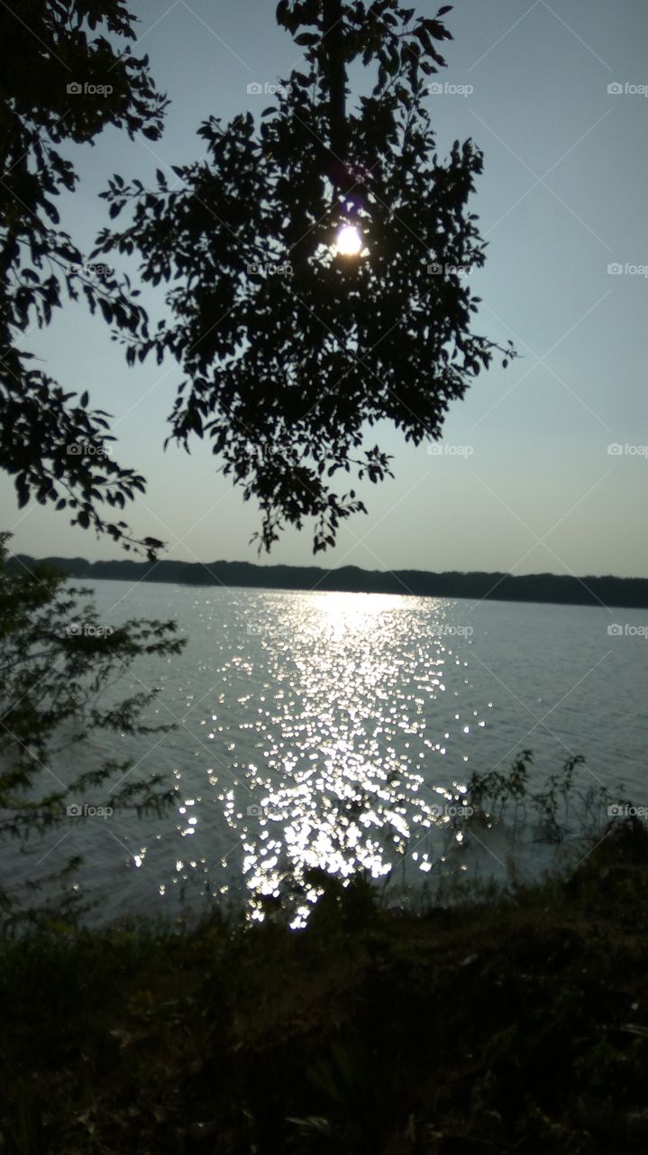 i am sleeping under tree 
what wonderful experience scenes  
it's lovely natural 
 i love natural 
 it's a wonder scenes