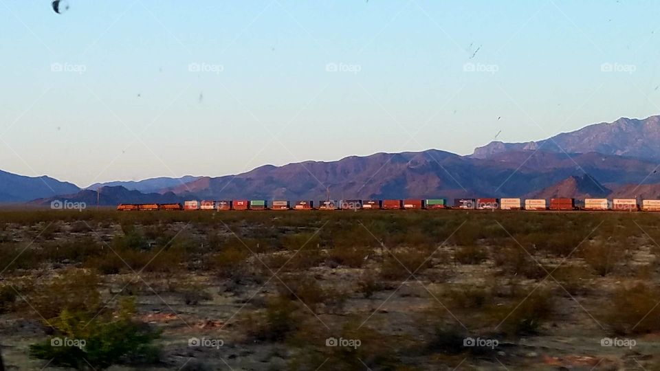 train in the desert