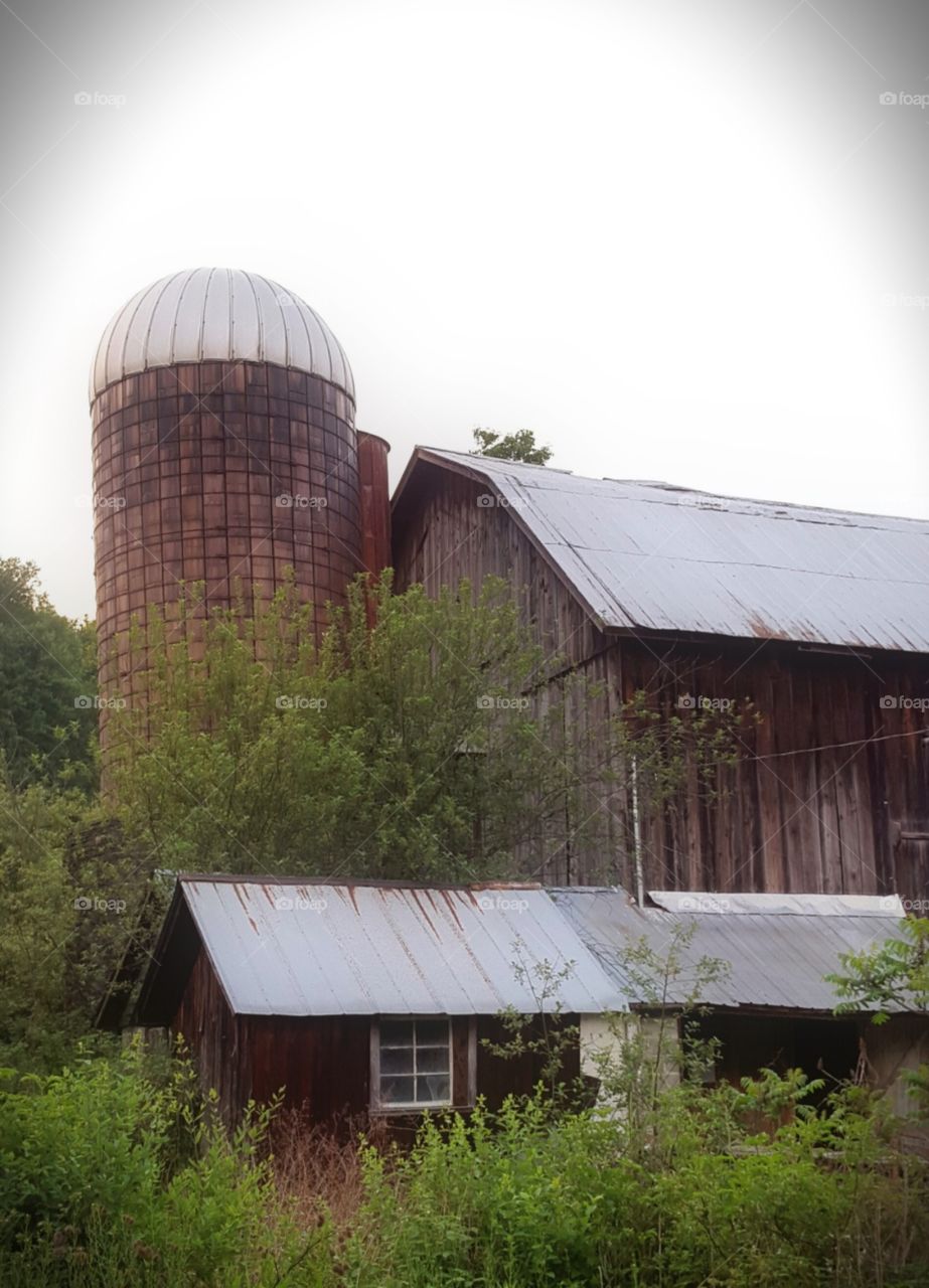 old heifer barn