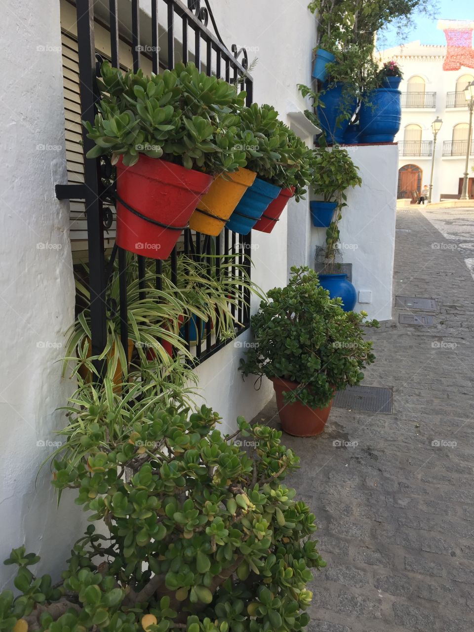 Flowerpot on house in Andalusia spain