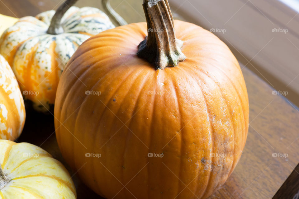 Pumpkin