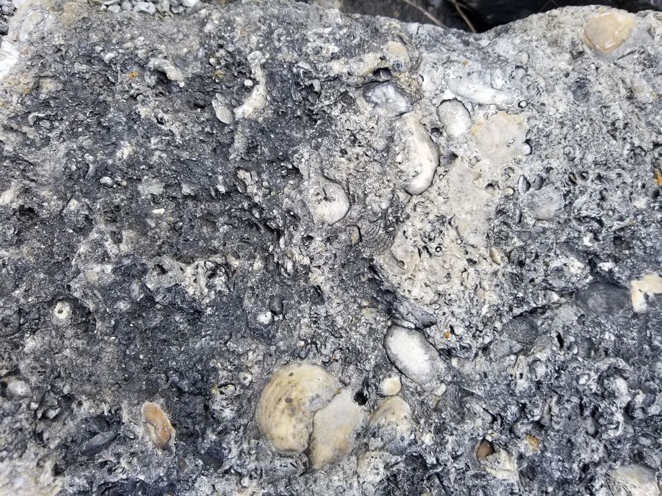 embedded into the rock