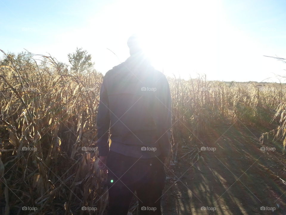 The Corn Maze
