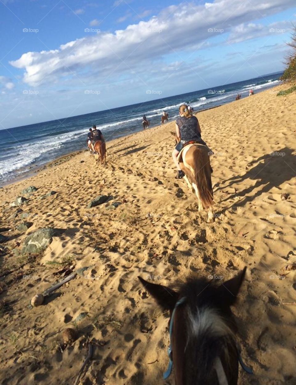 View from the back. Horseback riding on the beach in Rincon, Puerto Rico. 