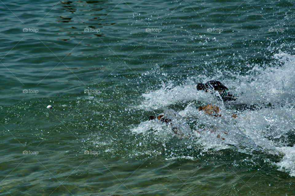 Swimming race