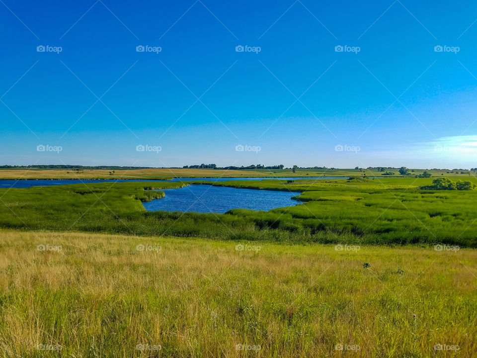 Swampy Prairie