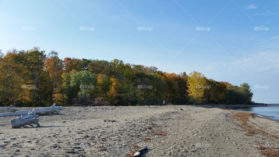 beach in the fall