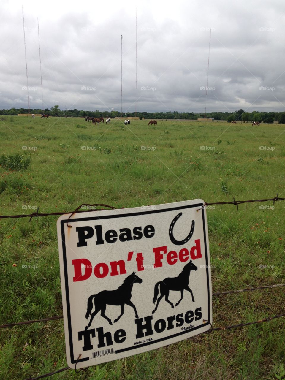 Horse farm. Don't feed the horses sign