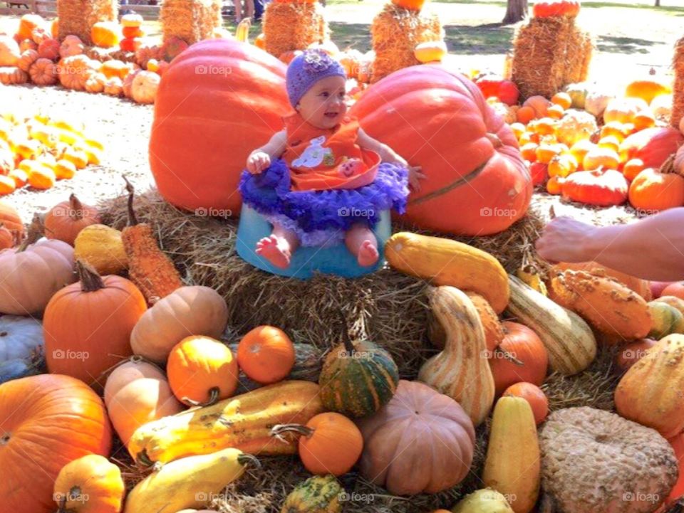 Pumpkin’s and gourds!