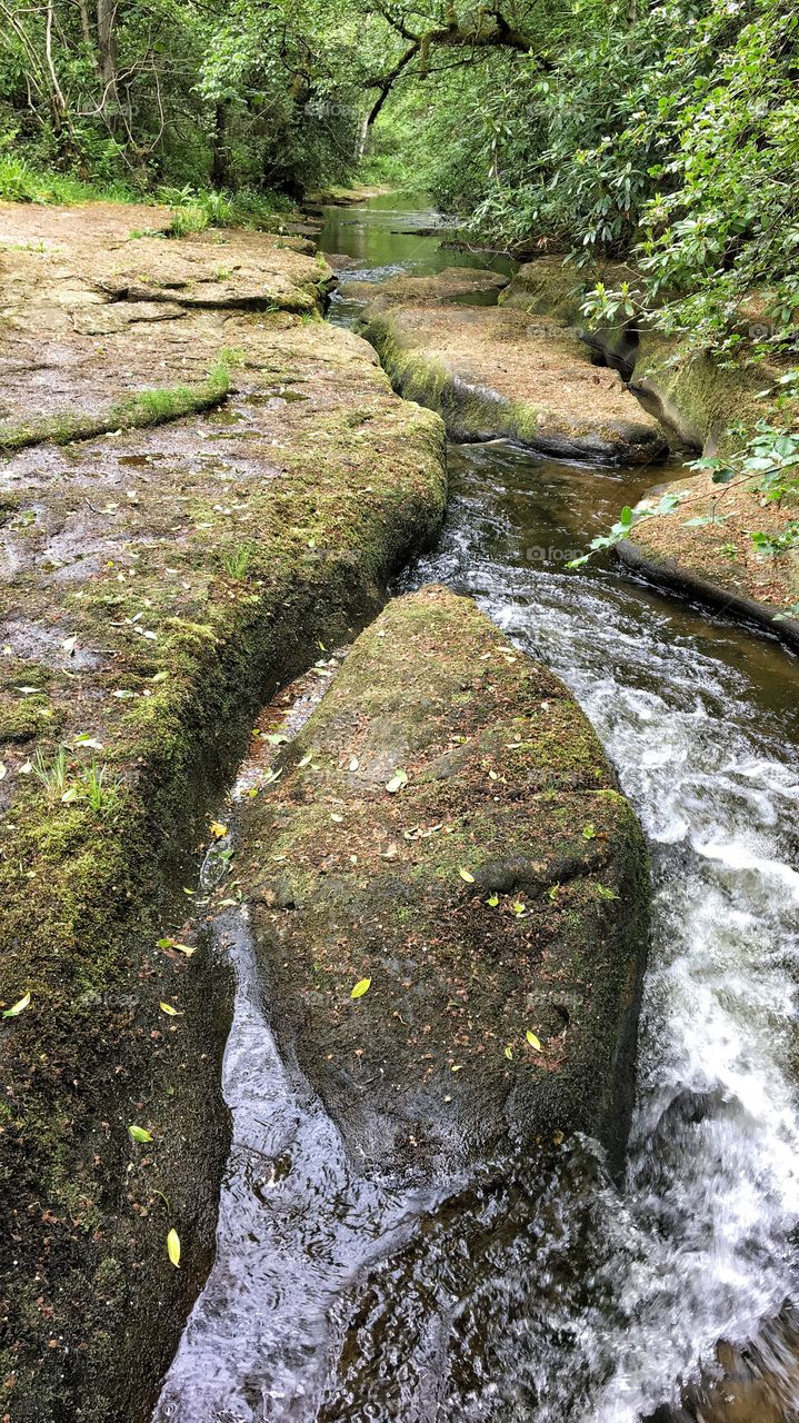 Walking in Hamsterley ....