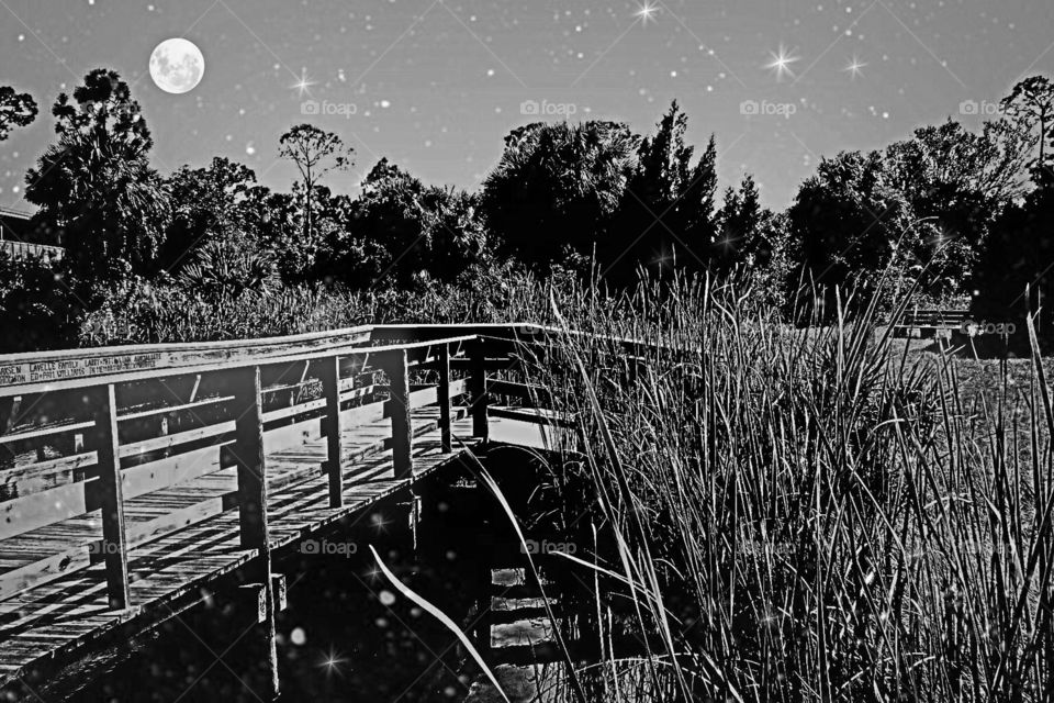 Boardwalk through the wetlands. Boardwalk through the wetlands under the moon and stars.