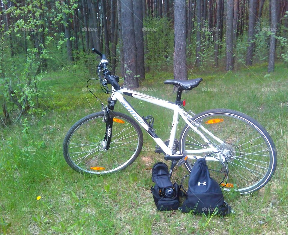 Wheel, Bike, Cyclist, Leisure, Biker