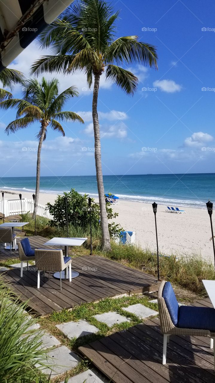 tropical ocean view Fort Lauderdale