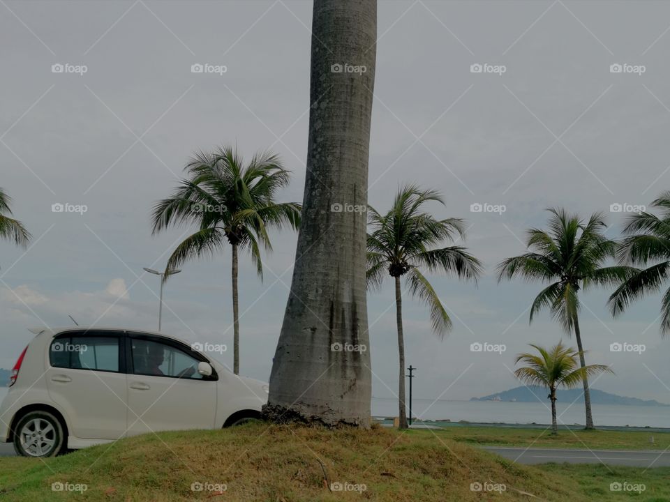 Driving in the coastal street