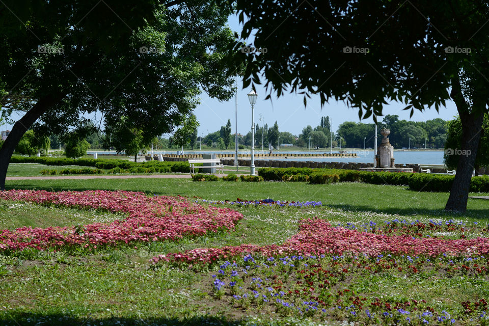 Flower garden in Park Palic. Palic, Serbia. Beautiful flower garden. In the background is lake Palic