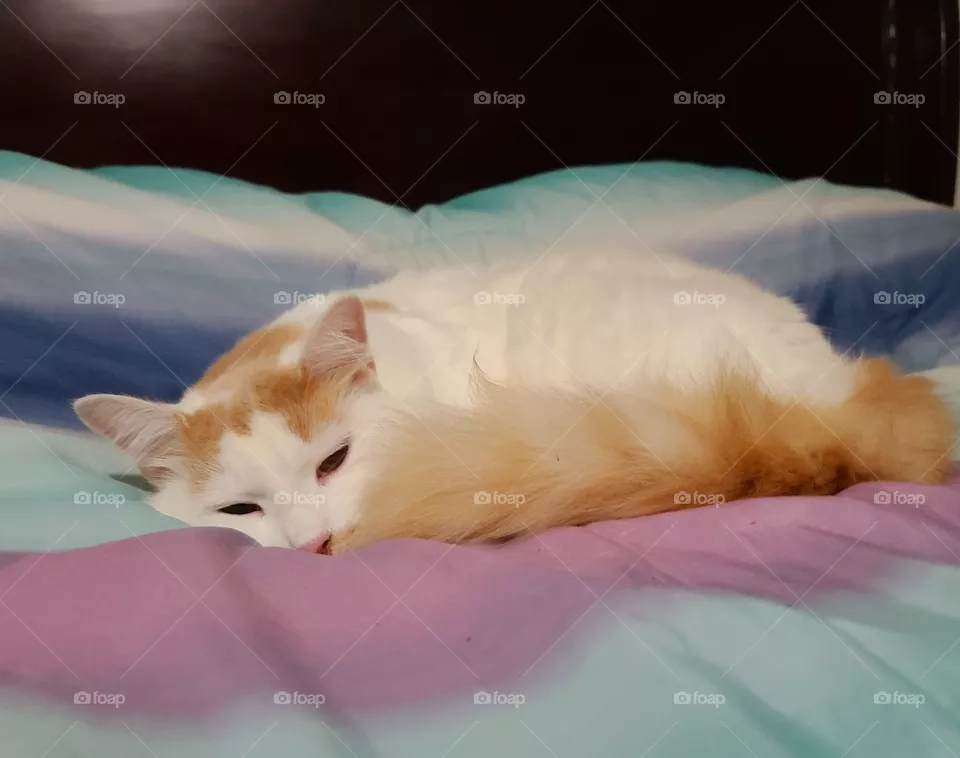 Comfy, relaxed