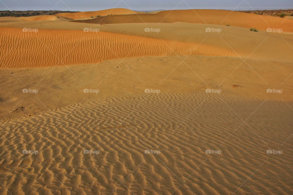 sand dunes