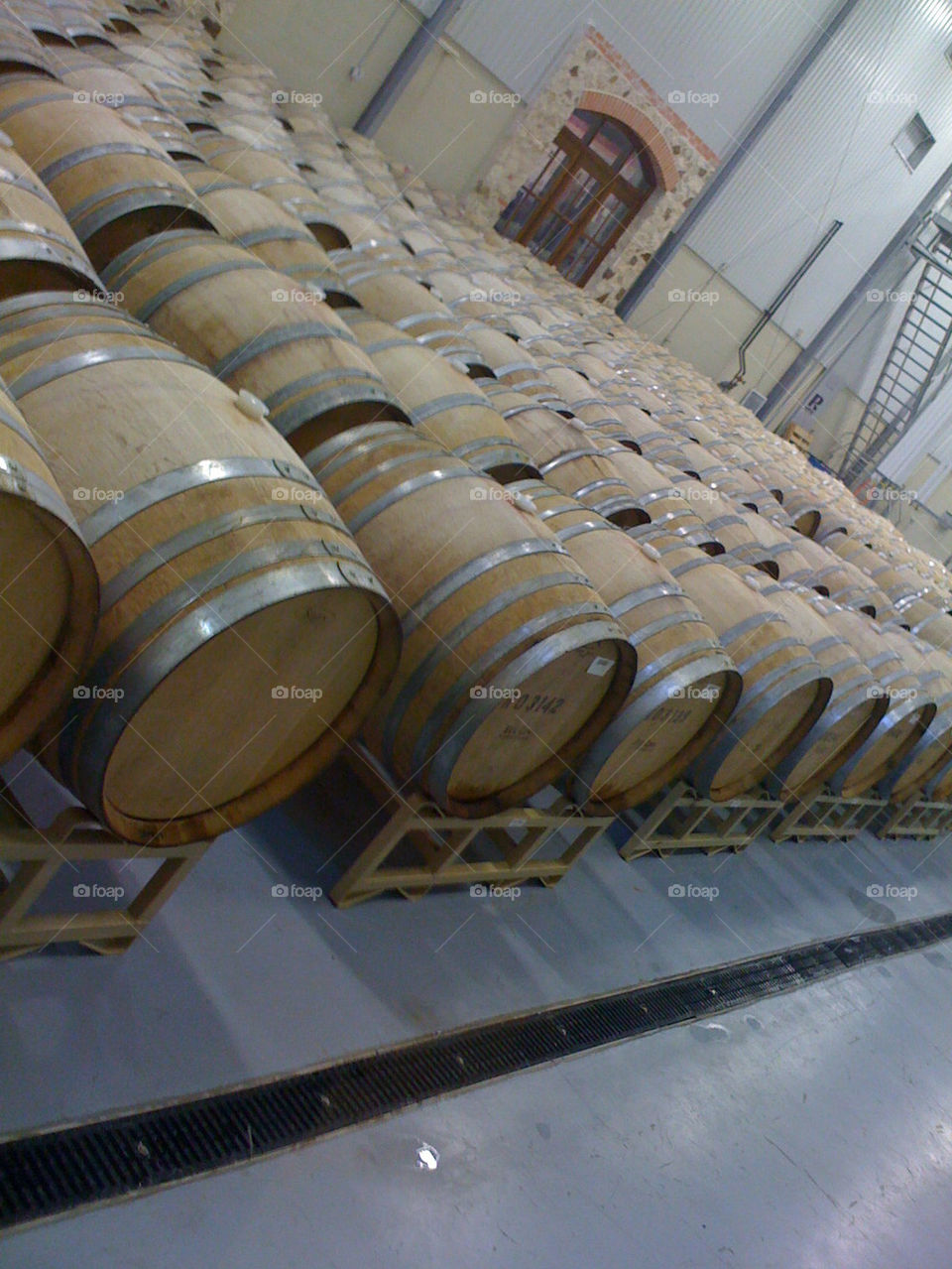vineyard wine texas barrel by toes