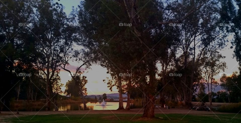 hidden lake. taken through  chain link fence.  discovered this beautiful lake, fenced off, no access.. backwards town I live in