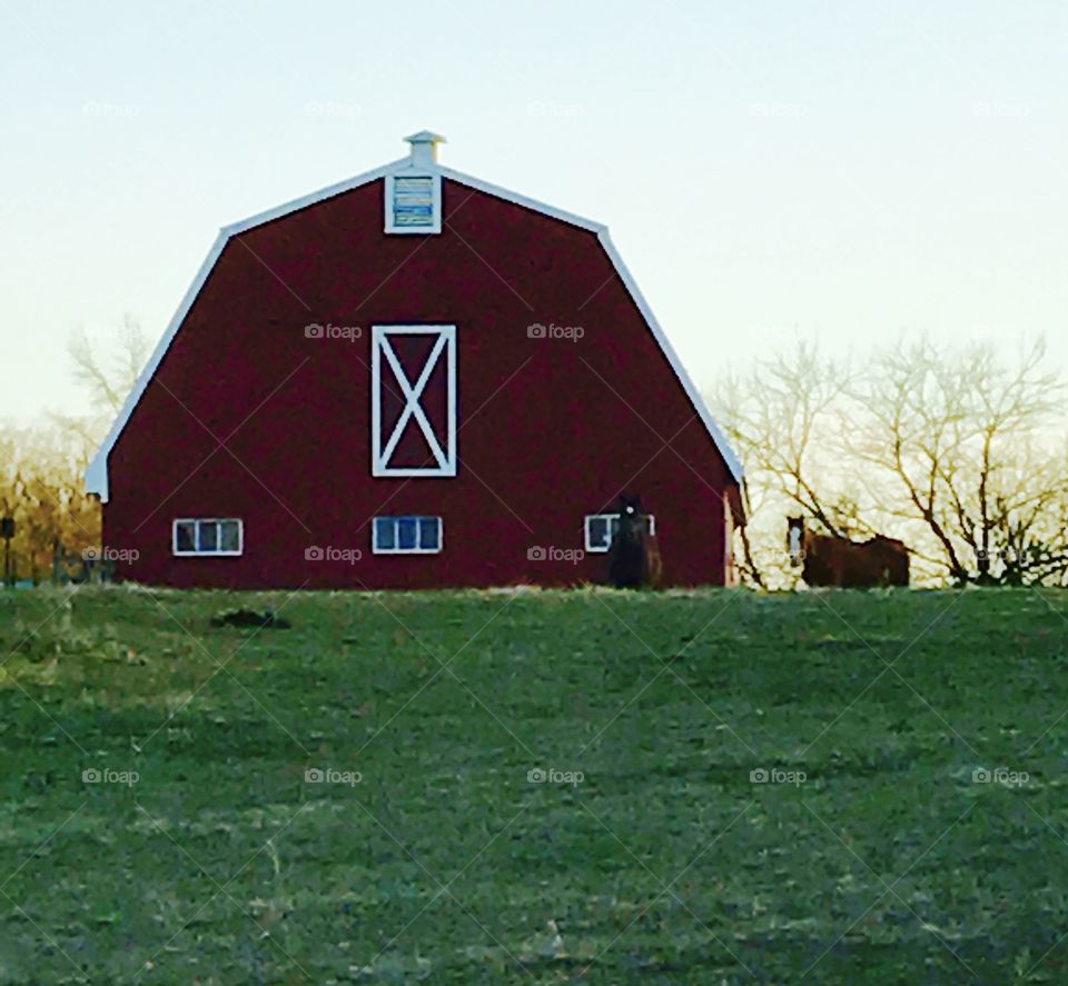 Barn and Horse