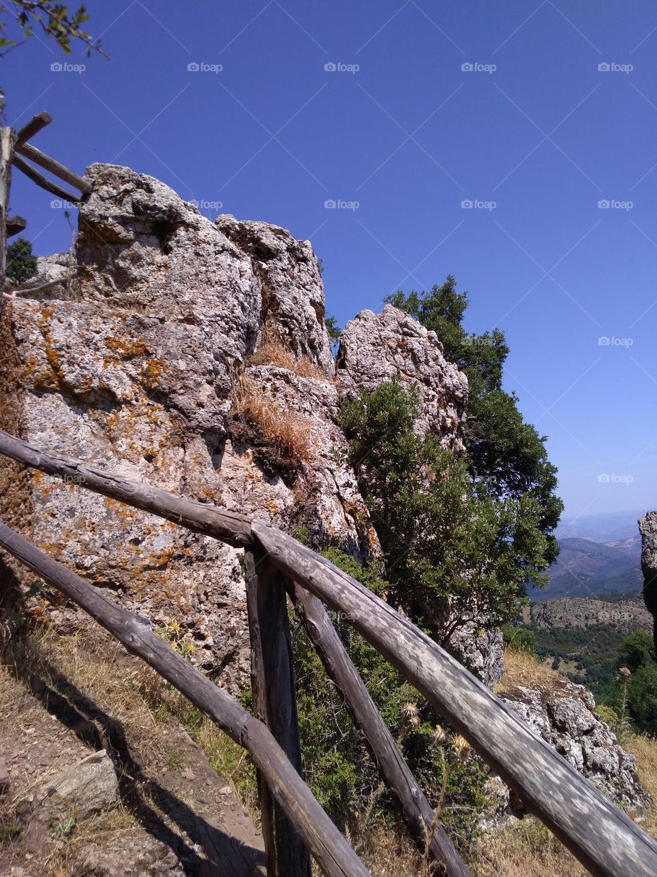 Editors' Choice: Photo of the Week