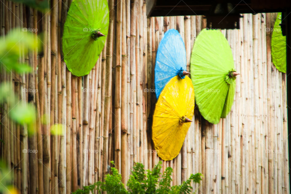 Beauty colorful umbrella decor on the bamboo wall.