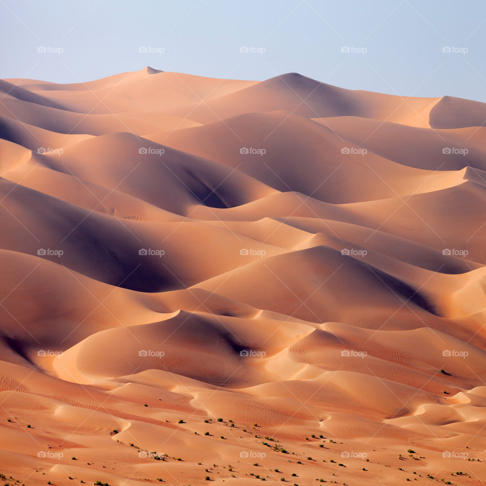 Endless desert sand dunes