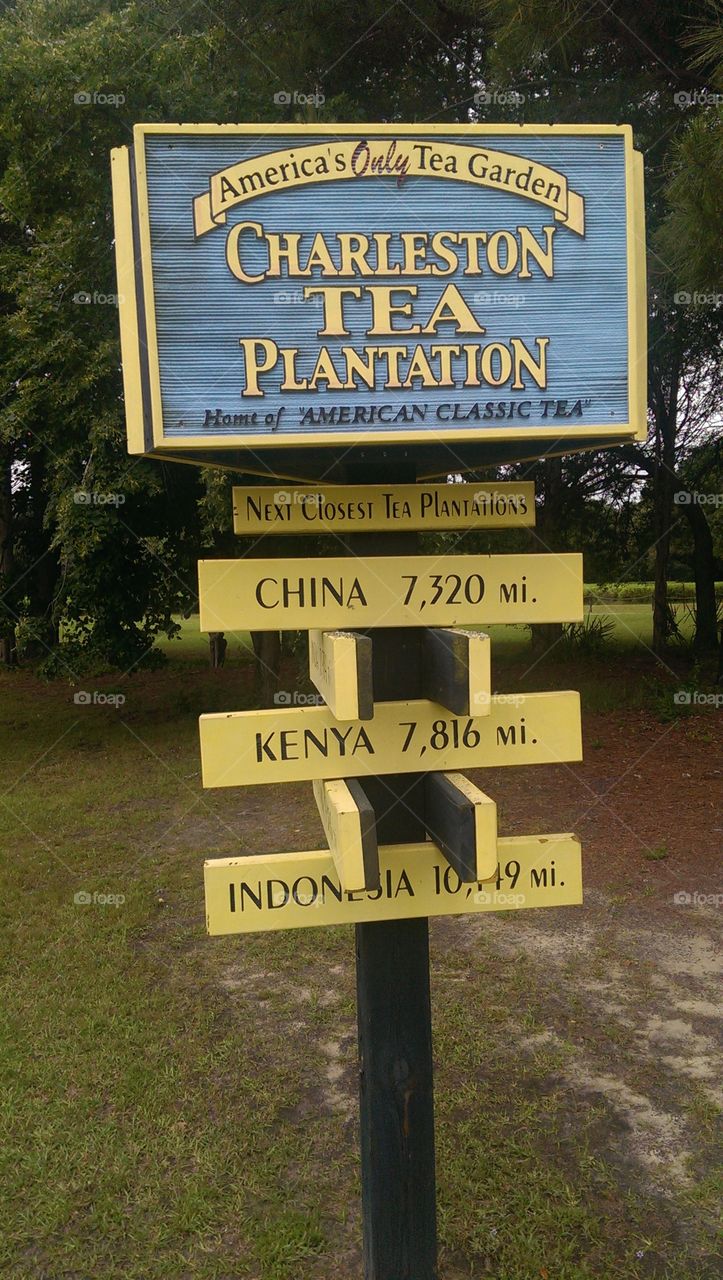 Tea Plantation Locations Sign