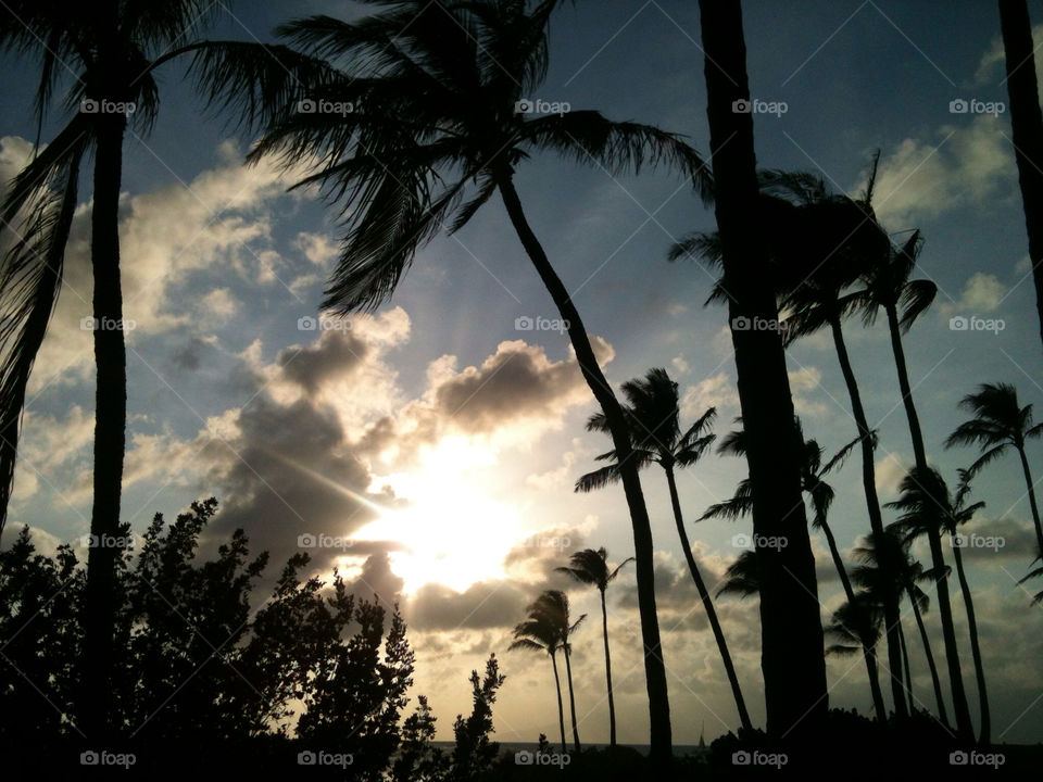 beach sunset clouds trees by halibody