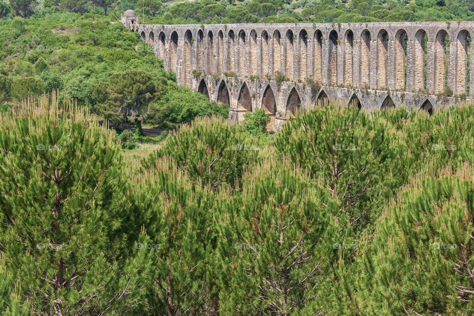 Pine forest surrounding a mediaeval stone aqueduct